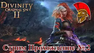 Стрим Divinity Original Sin 2 – Прохождение № 2