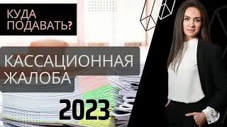 Куда подавать кассационную жалобу по уголовному делу? Сплошная и выборочная кассация