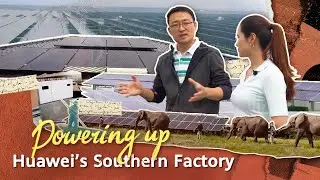 Powering up Huawei’s Southern Factory