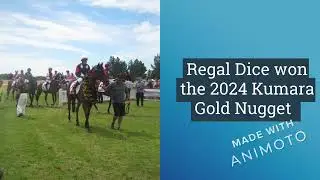 The Kumara Races