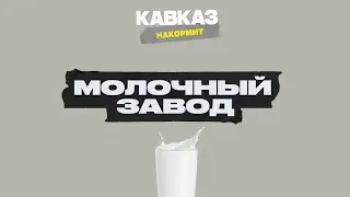 Кавказ накормит: Молочный завод