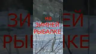 Случай на РЫБАЛКЕ))))