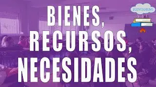 Recursos, bienes y necesidades