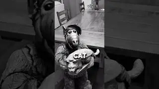 ALF Eat The Cat Remix! #toys #remix #shorts