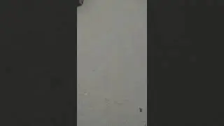 #ИЛТИМОС