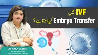 Understanding Embryo Transfer A Step-by-Step Guide