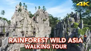 Rainforest Wild Asia - Walking tour at Singapore's new adventure zoo