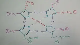 How to Draw Haemoglobin Molecule Structure | Heme  Molecule | TCML