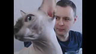 РАДОСТЬ ЩАСТЬЕ И ВОСТОРГ! ► 100 подписчиков на канале ►