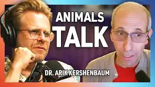 We're Not So Special, Animals Can Talk Too  with Dr. Arik Kershenbaum - 275