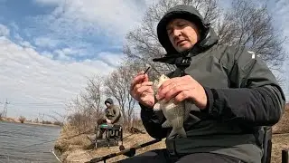 Классная рыбалка на фидер. Половили карася, пожарили и съели!😊