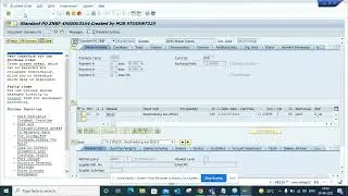 How to make sure Debugger stop for another User Id in SAP?
