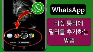 WhatsApp 화상 통화에 필터를 추가하는 방법 || WhatsApp 화상 통화 필터 2024