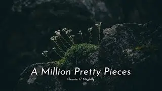 Fleurie & Nightly - A Million Pretty Pieces (Lyrics)