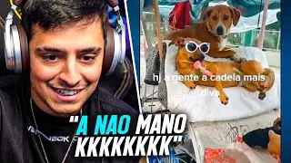 LOUD CORINGA REAGINDO A TENTE NÃO RIR, MEMES e VÍDEOS ENGRAÇADOS !!!