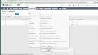 NetSuite: Using Statistical Accounting by TrueCloud