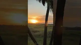 The Florida State Park For Sunsets and Birds