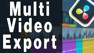 DaVinci Resolve Export Multiple Clips From a Timeline