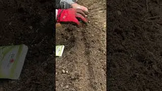 Row planting - zipper method