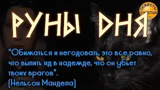 🅚 РУНЫ ДНЯ - для мужчин и женщин, 8 декабря,  секреты колдовства мастер Катя