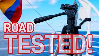 Road Tested! Amazon Basics 60-Inch Tripod 2 Year Review