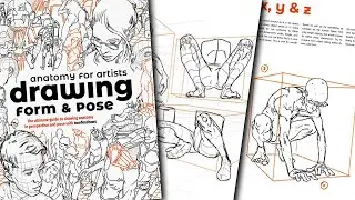 📚Anatomy for Artists! Drawing Form & Pose by Tomfoxdraws Ultimate Guide for Anatomy in Perspective