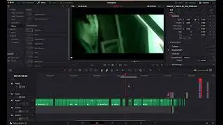 Move your timeline | Fix Alt + Y Issue | Davinci Resolve