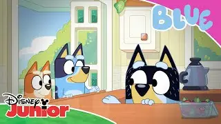 🍳 Idealny omlet | Blue | Disney Junior Polska