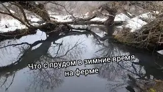 Что с нашим фермерским прудом