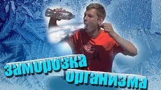 ЭКСПЕРИМЕНТ - ЗАМОРОЗКА ОРГАНИЗМА - 40 °C