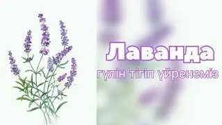 Лаванда Кесте тігіп үйрену. Қазақша.Лаванда вышивка гладью .