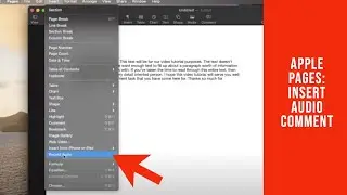 How to Insert an Audio Comment in Apple Pages