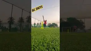 Turf & Soil Cricket #ytshorts #turfcricket #shortsviral #cricket