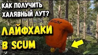 SCUM: БАГ НА ЛУТ. КАК ПОЛУЧИТЬ ХАЛЯВНЫЙ ЛУТ ВНАЧАЛЕ ИГРЫ? ЛАЙФХАКИ В SCUM Supporter Puck