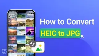 How to Convert HEIC/HEIF Images to JPG [All About HEIC/HEIF Images] 2024