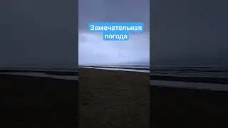 15 ноября 2023 года. #юрмала #море #погода