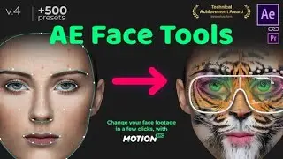 AE Face Tools (Best After Effects Projects)