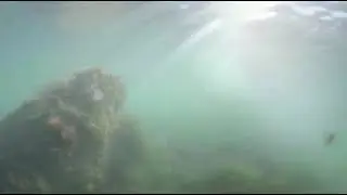 Лови мгновенья под водой на 3D