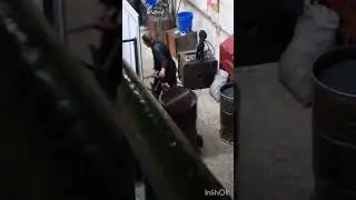 Бомбалейло 80 lvl. Завод.