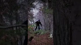 Осень в Карпатах 🥰🥹 #kozaktv #enduro #mtb