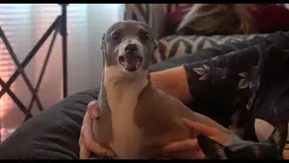 Do NOT move your Cermet