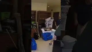 The Hustle of Move-In