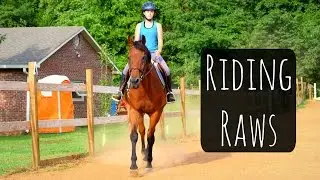 Riding Raws | Hobo the Rescued Racehorse