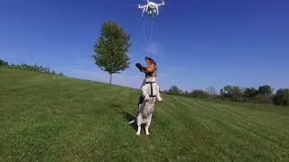 dean vs. burger drone!