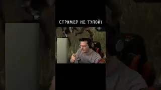 СТРИМЕР НЕ ТУПОЙ 