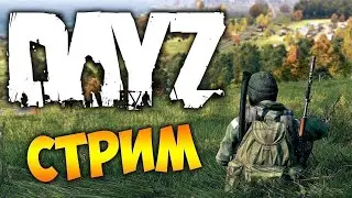 НОВИЧОК В ДЕЙЗ, а как играть?* |  DayZ