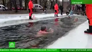 ВИДЕО ПРОГРАММЫ «СЕГОДНЯ — САНКТ-ПЕТЕРБУРГ»  30.01.2023 Моржи из Парка Победы отстояли свой пруд.