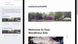 3. How to Customize the Header for Your WordPress Site