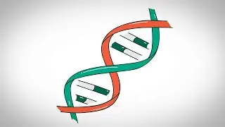 Pheochromocytoma & Paraganglioma Genetic Mutations