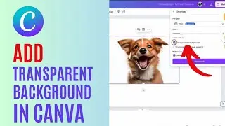 How to Add Transparent Background in Canva 2024?